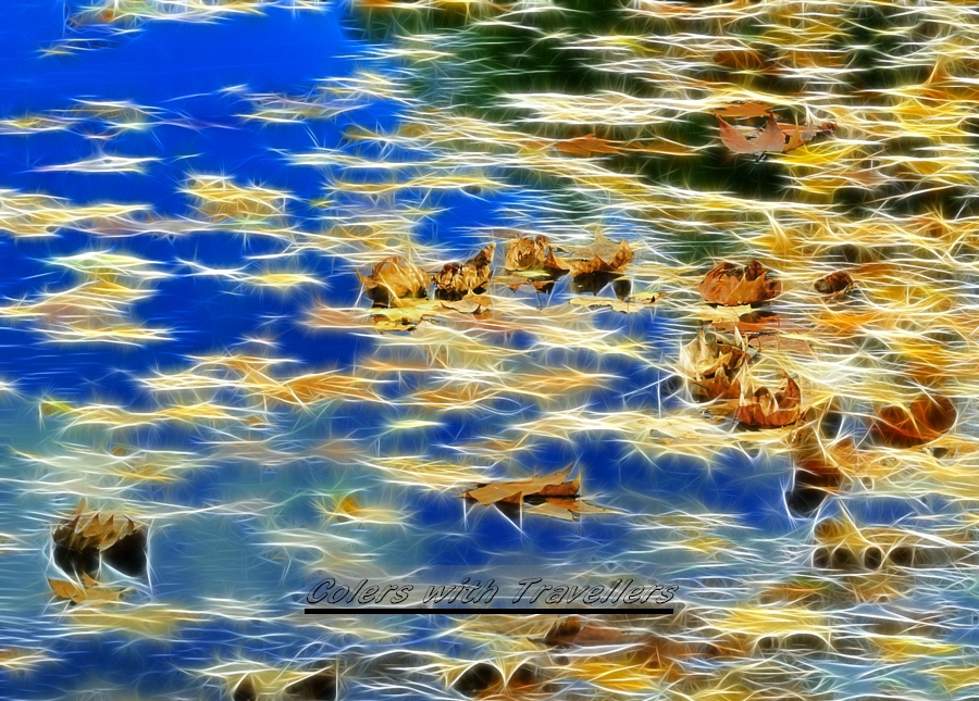 _DSC3730 ��������.jpg