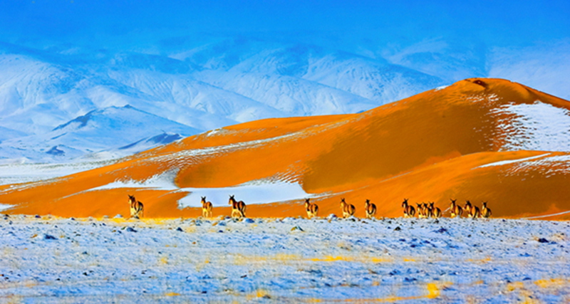 ������ɽ�ľ���    - ����.jpg