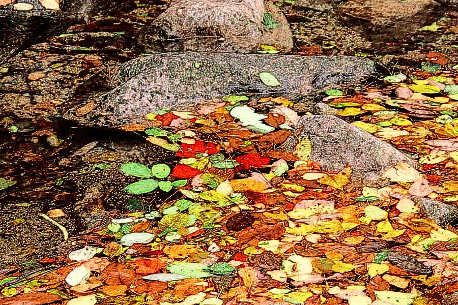 Ңɽ��Ƭ 020_����.jpg