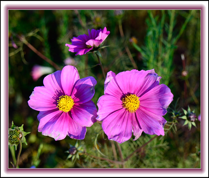 2013��10��10��ë��ɽ��Ƭ0 076.jpg