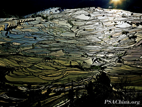 06.��������Ʒ����Ϧ�����Sunsets terrace1.jpg