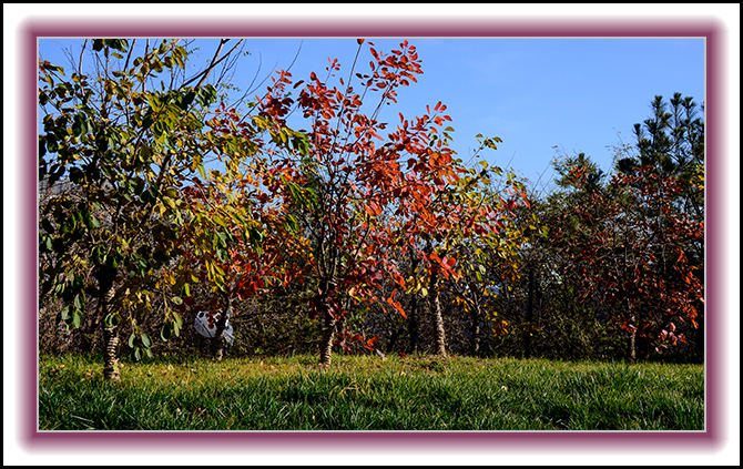 2013��10��10��ë��ɽ��Ƭ 000163.jpg