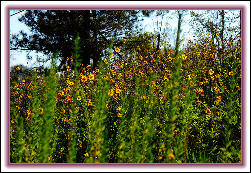 2013��10��10��ë��ɽ��Ƭ 11143.jpg