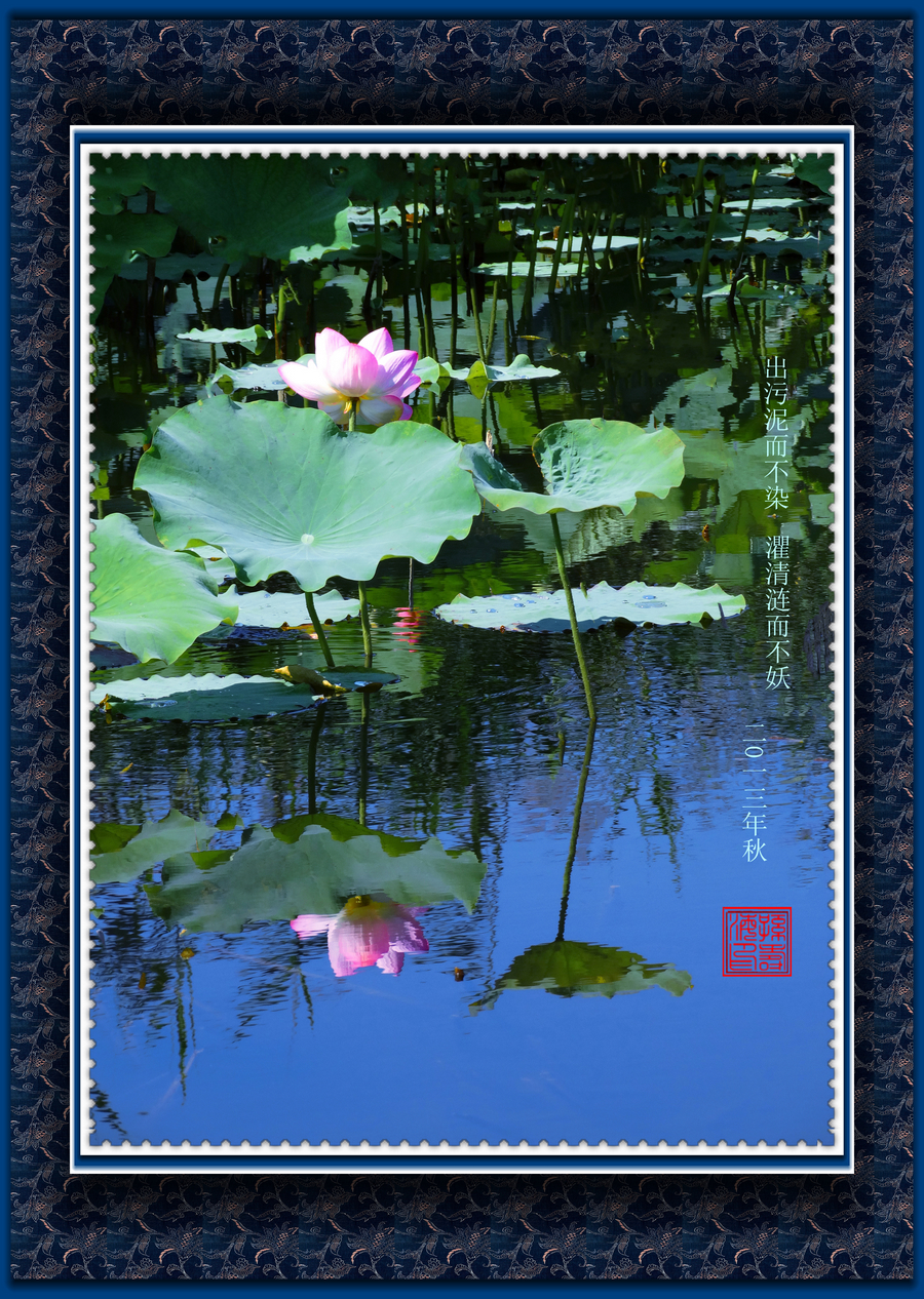 ������Ӱ  Ч��ͼ) (2).jpg