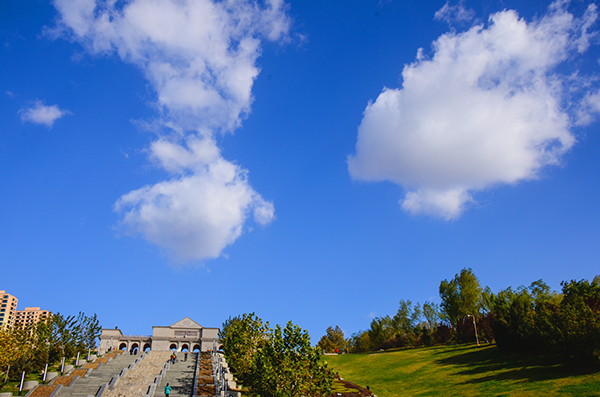 2013��11��16��������Ƭ 11017.jpg