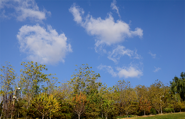 2013��11��16��������Ƭ 001019.jpg