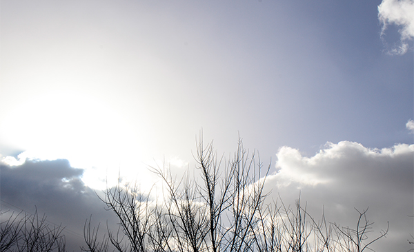 2013��11��16�������Ƶ���Ƭ 11011.jpg