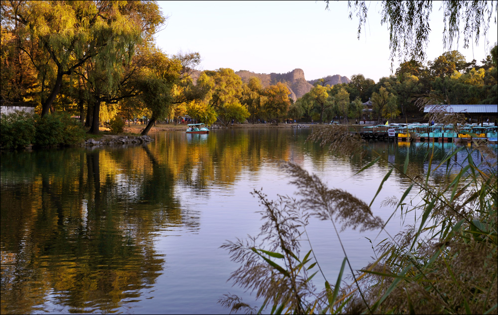 ������Ӱ