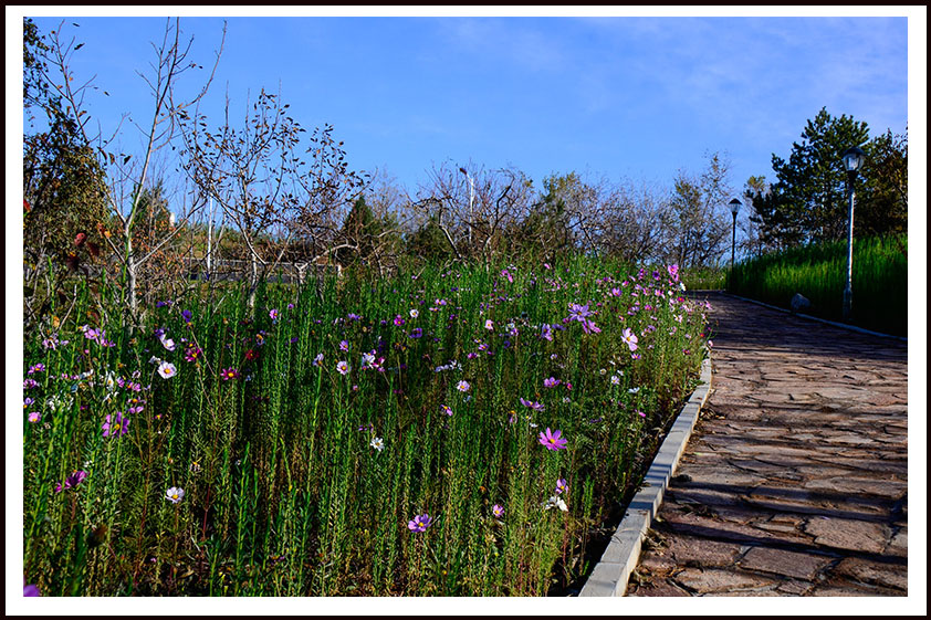 2013��10��10����Ķ��ɽ��Ƭ���� 120.jpg