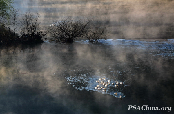 02.�¾�����Ʒ��������ˮů��RIVER IN SPRING.jpg
