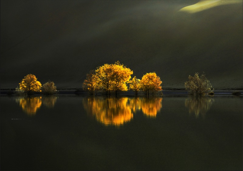 ����   ��Ӱ   ����ӡ