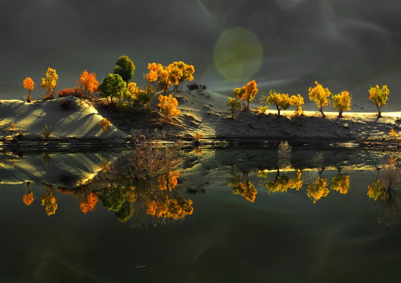 ���������   ��Ӱ   ����ӡ