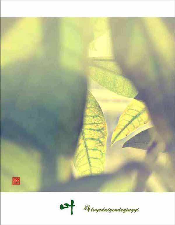 ��Ƭ 023����������������.jpg