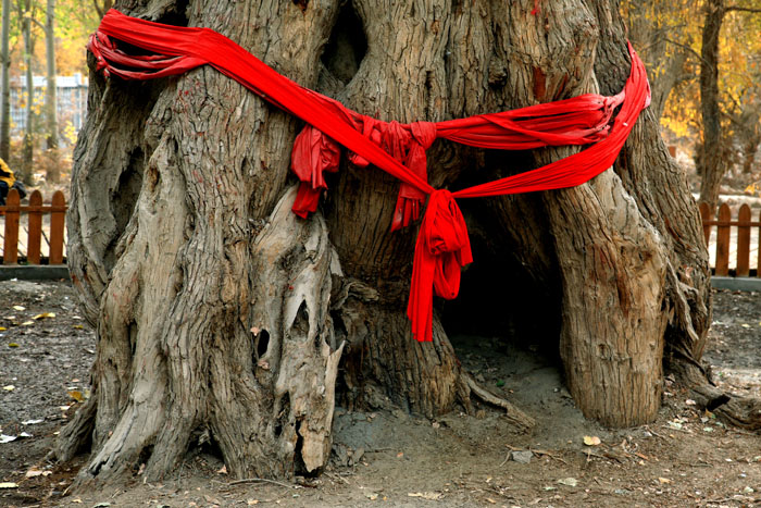 13102914 IMG_1267����.jpg