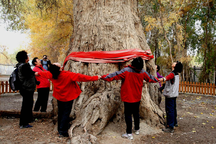 13102915 IMG_1273����.jpg