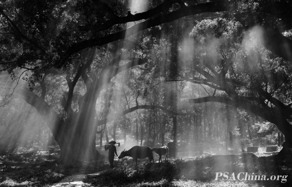 03.�¾���YCCP練�����Ʒ�������С����COUNTRY LANES.jpg