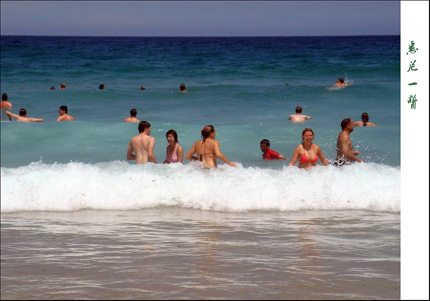 DSC02591 ����.jpg