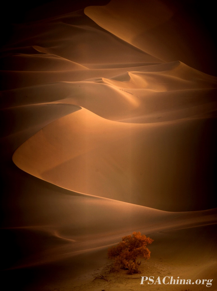 04.��Ծ���������Ʒ��Ʒ��ɳĮ���ա�Desert sunset.jpg