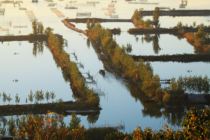 �����ɽ�� .jpg