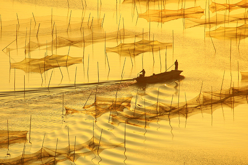 ΢������  .jpg