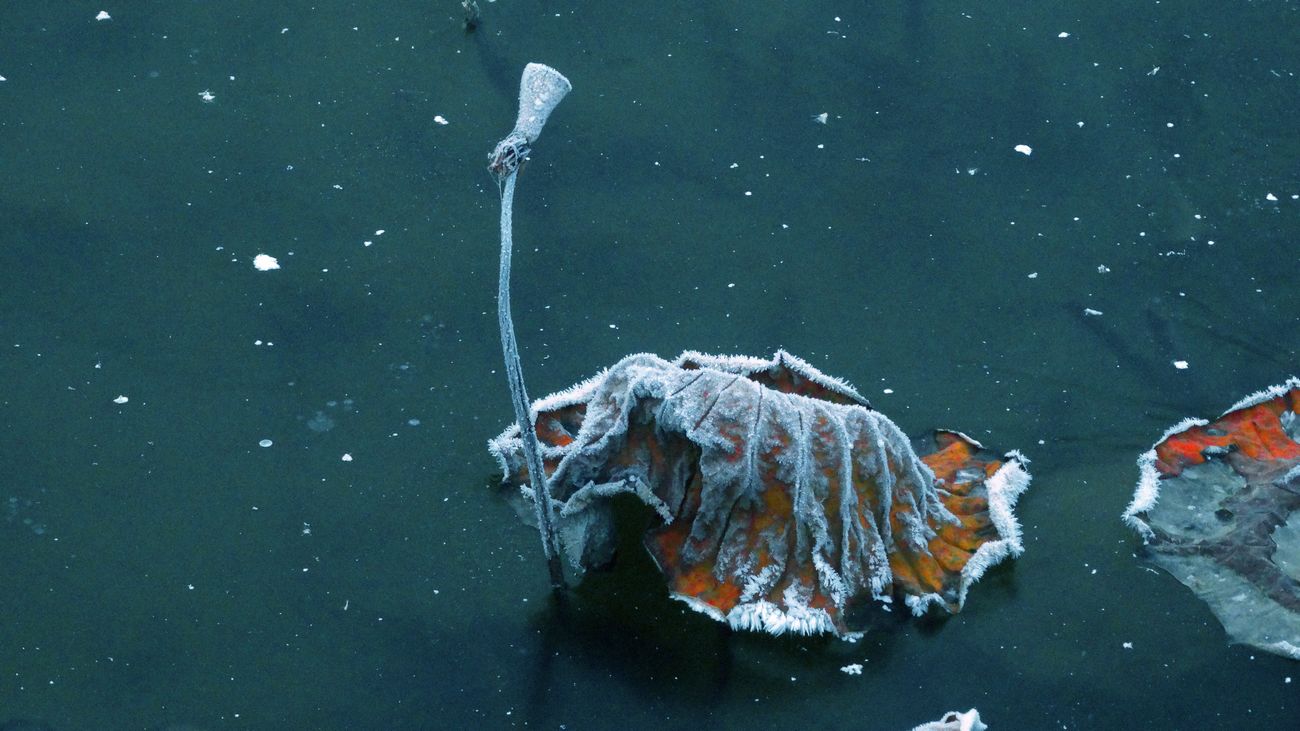 ˪��к� ������ (3).jpg