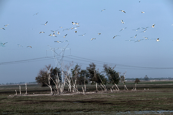 ǧȪ��ʪ�ذ����ֵİ���