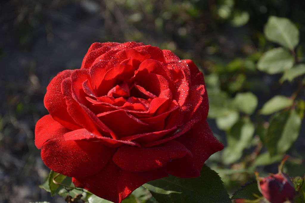 ���͹㳡 070a.jpg