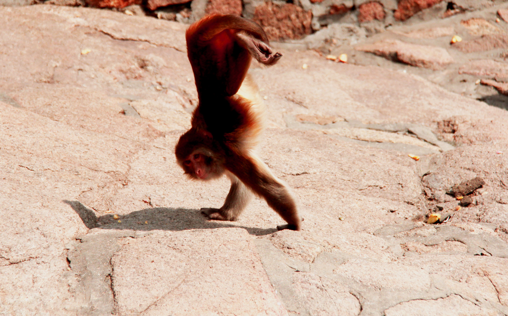 ������θ��� 363.jpg