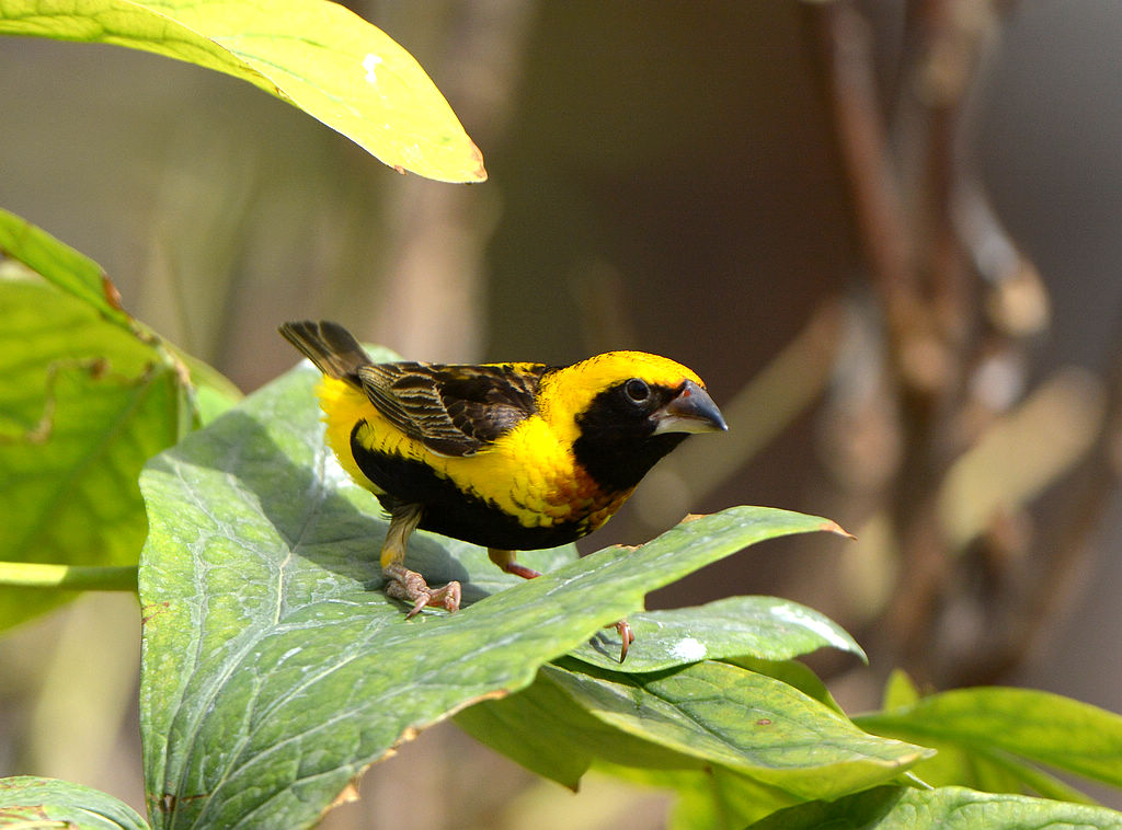 DSC_7760.jpg