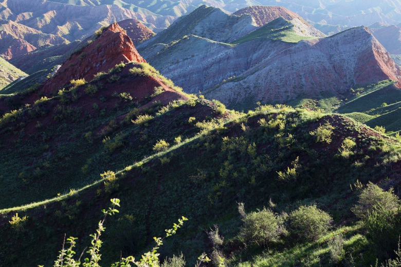 �������߲�̲���