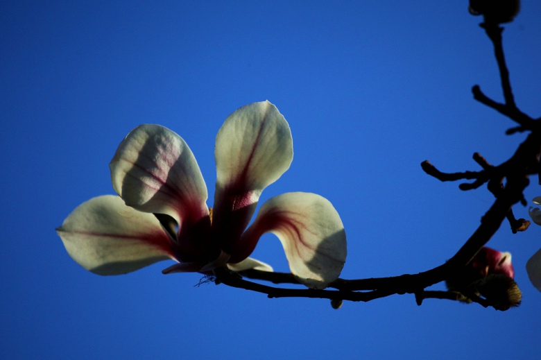 �������Ϣ��������