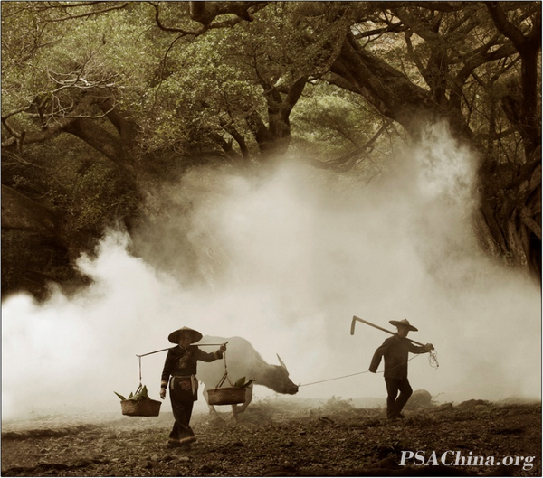 03.����FIAPͭ����Ʒ���顷 Coming home.jpg