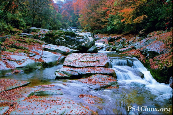 09.����VNUSPA練�����Ʒ���Ĵ�����ɽ��ɫ��Guangwushan Autumn.jpg