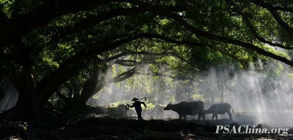 05.�¾�����Ʒ�������С����SMALL RURAL SCENERY.jpg