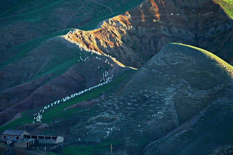 �߲ʹȵ������˼�2