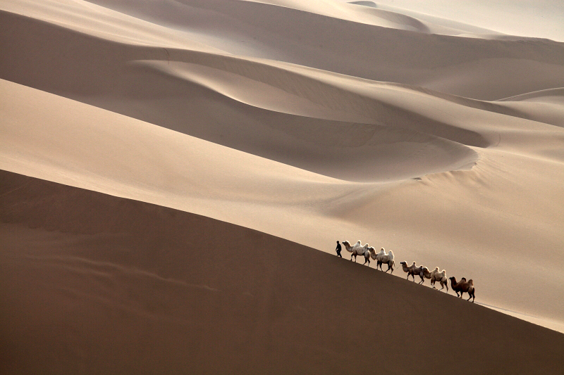 ��ľ����ɳĮ��