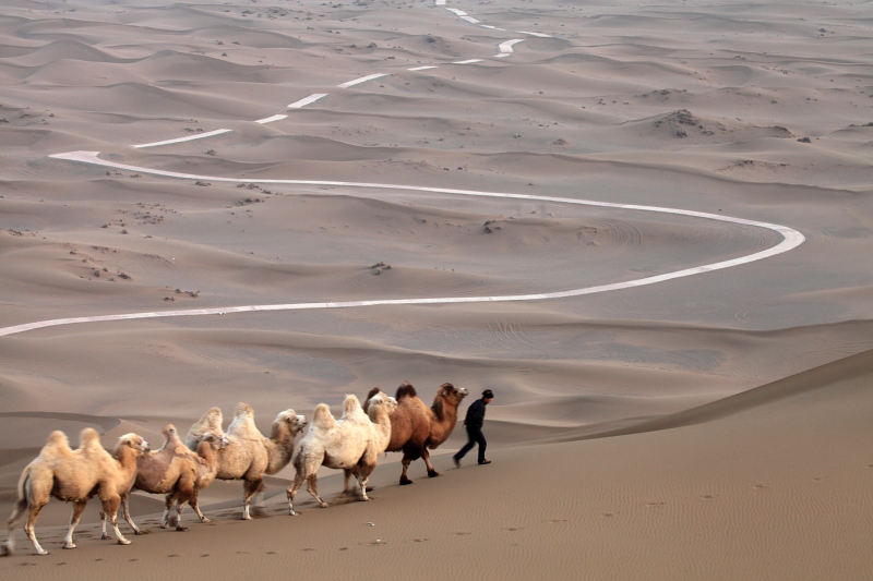 ��ľ����ɳĮ��