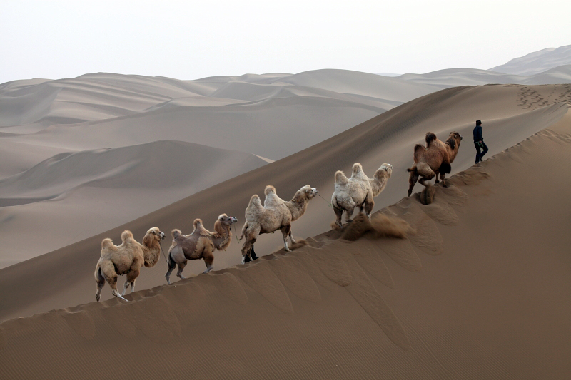 ��ľ����ɳĮ��