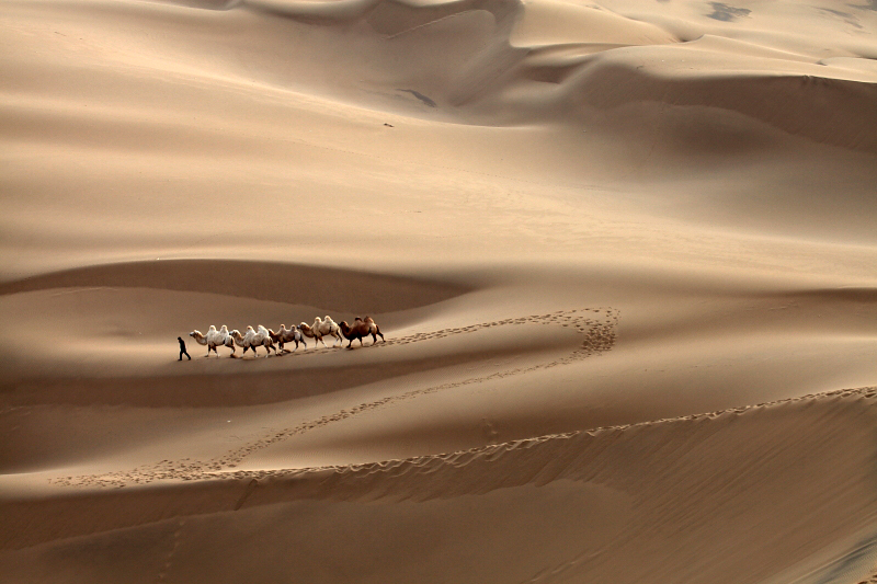 ��ľ����ɳĮ��