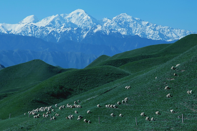 ��Դ���º�����