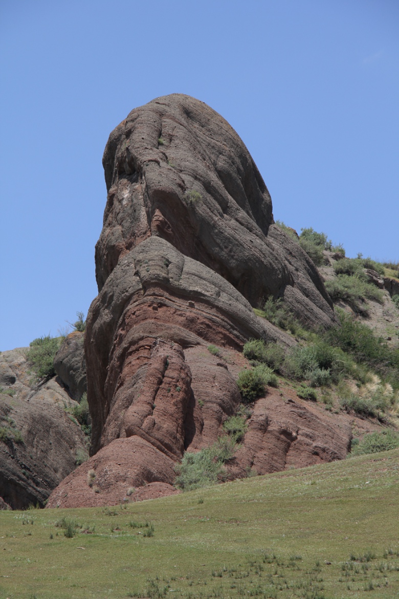 ��ʨ������ʯ���ӡ�