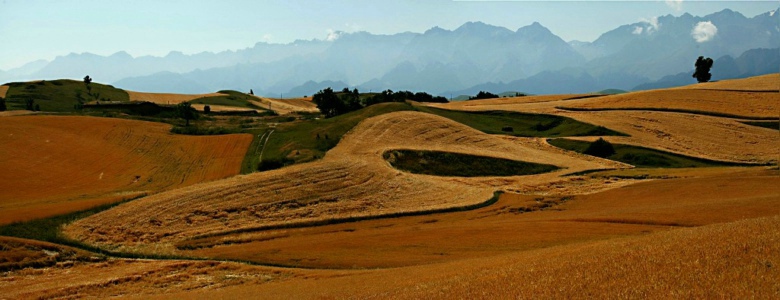 �ﵽ��������