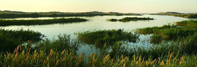 ������η��