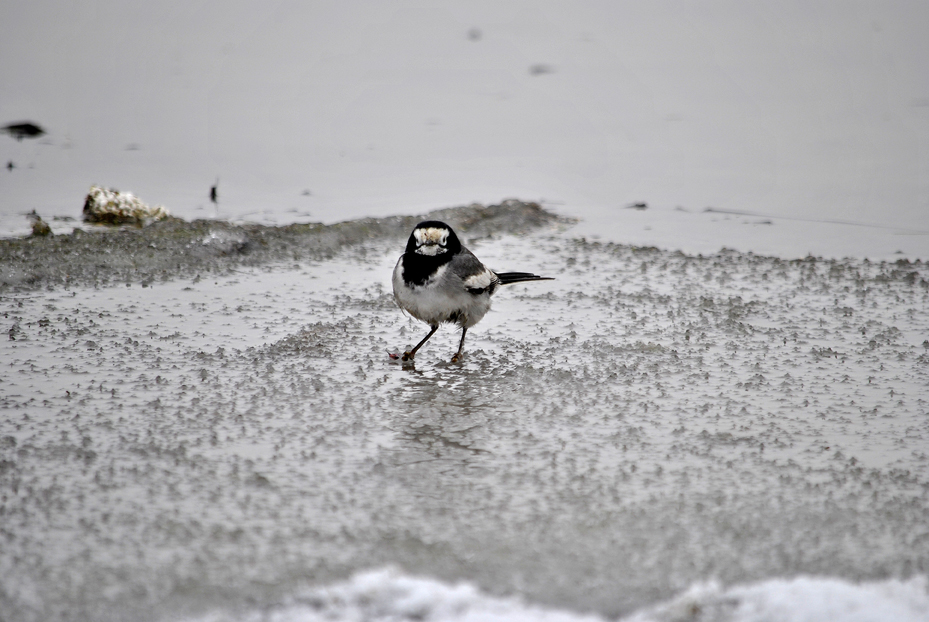 ��Ƭ 135_����.jpg