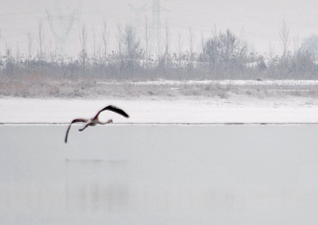 ��Ƭ 109_����.jpg