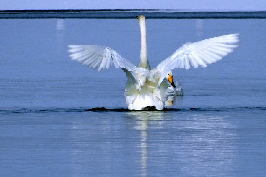 ��ӭ�¹������-����ˮ�������¼��� (8).jpg