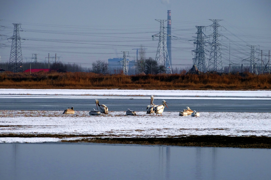 ��ס����-����ˮ�������¼��� (5).jpg