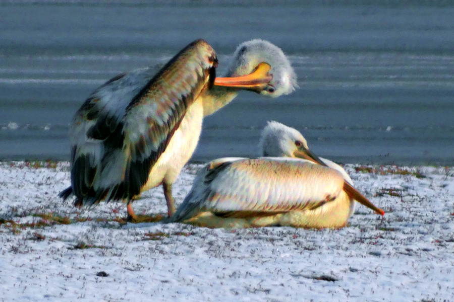 ����-����ˮ�������¼��� (4).jpg