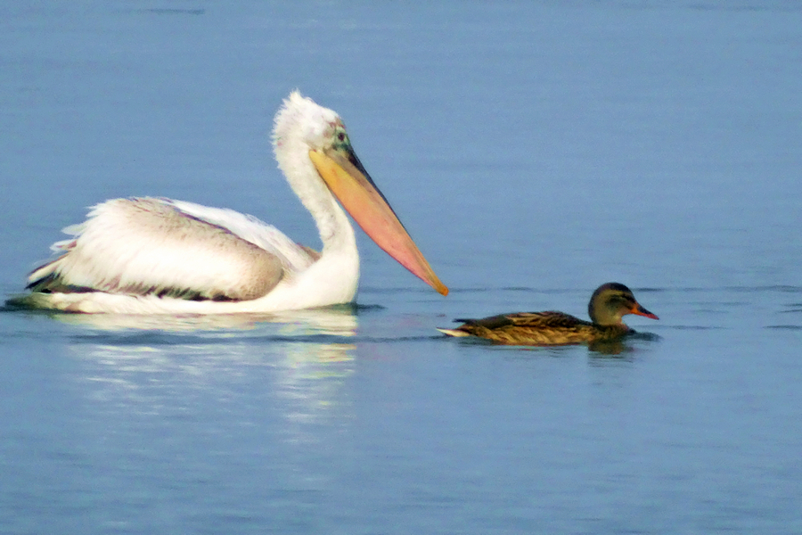 ��·-����ˮ�������¼��� (12).jpg