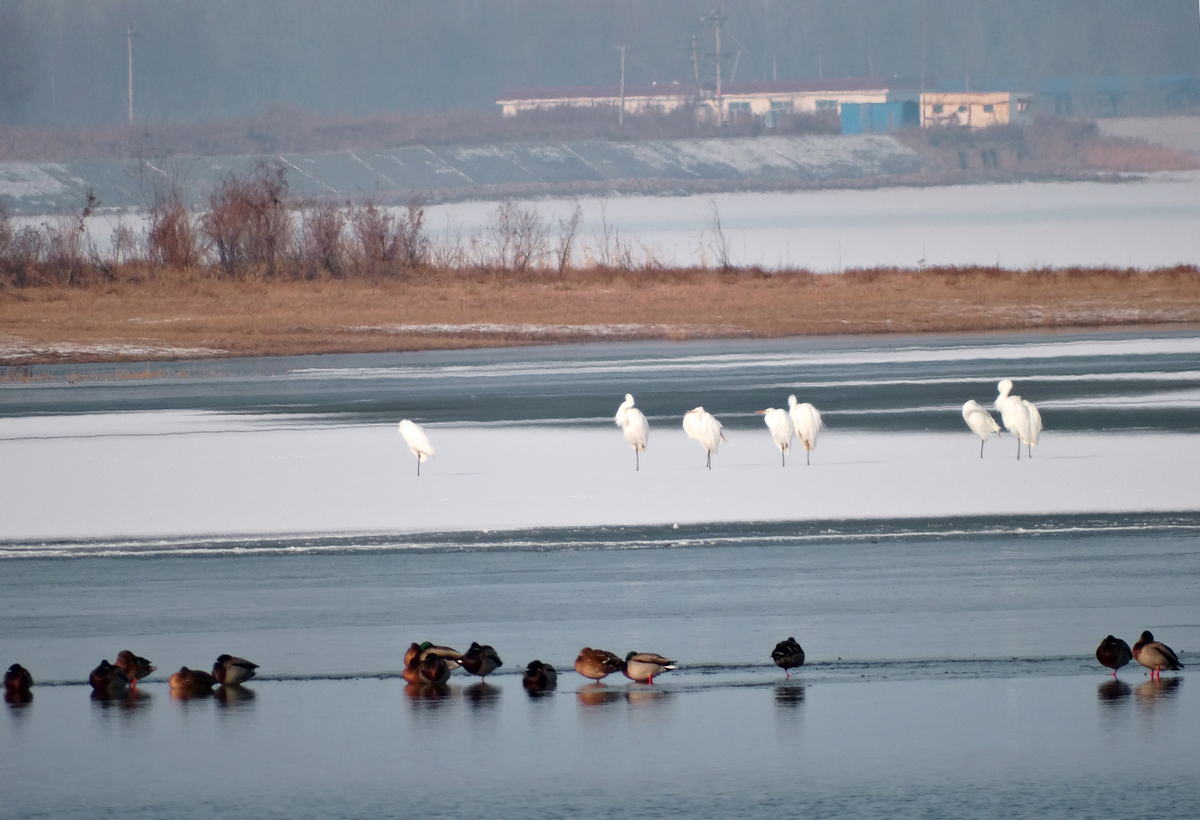 ����ˮ�� (5).JPG